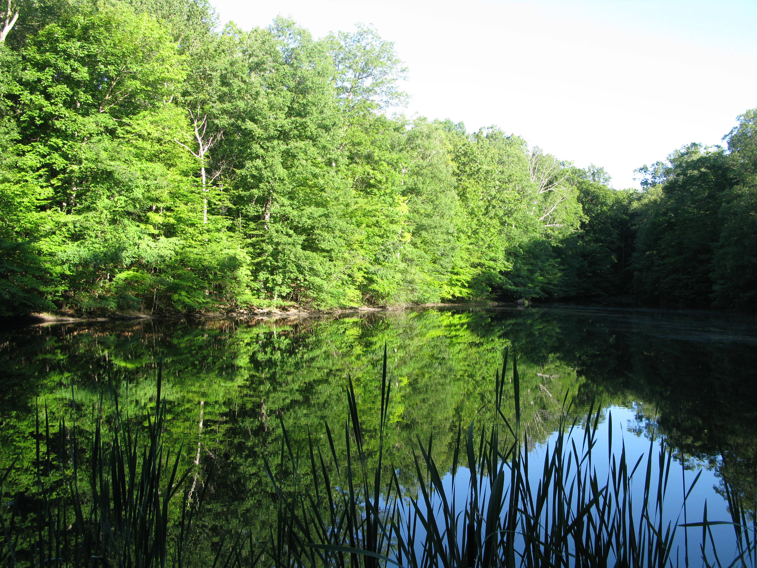 "Moments by the Pond"... taken on one of my greatest adventures