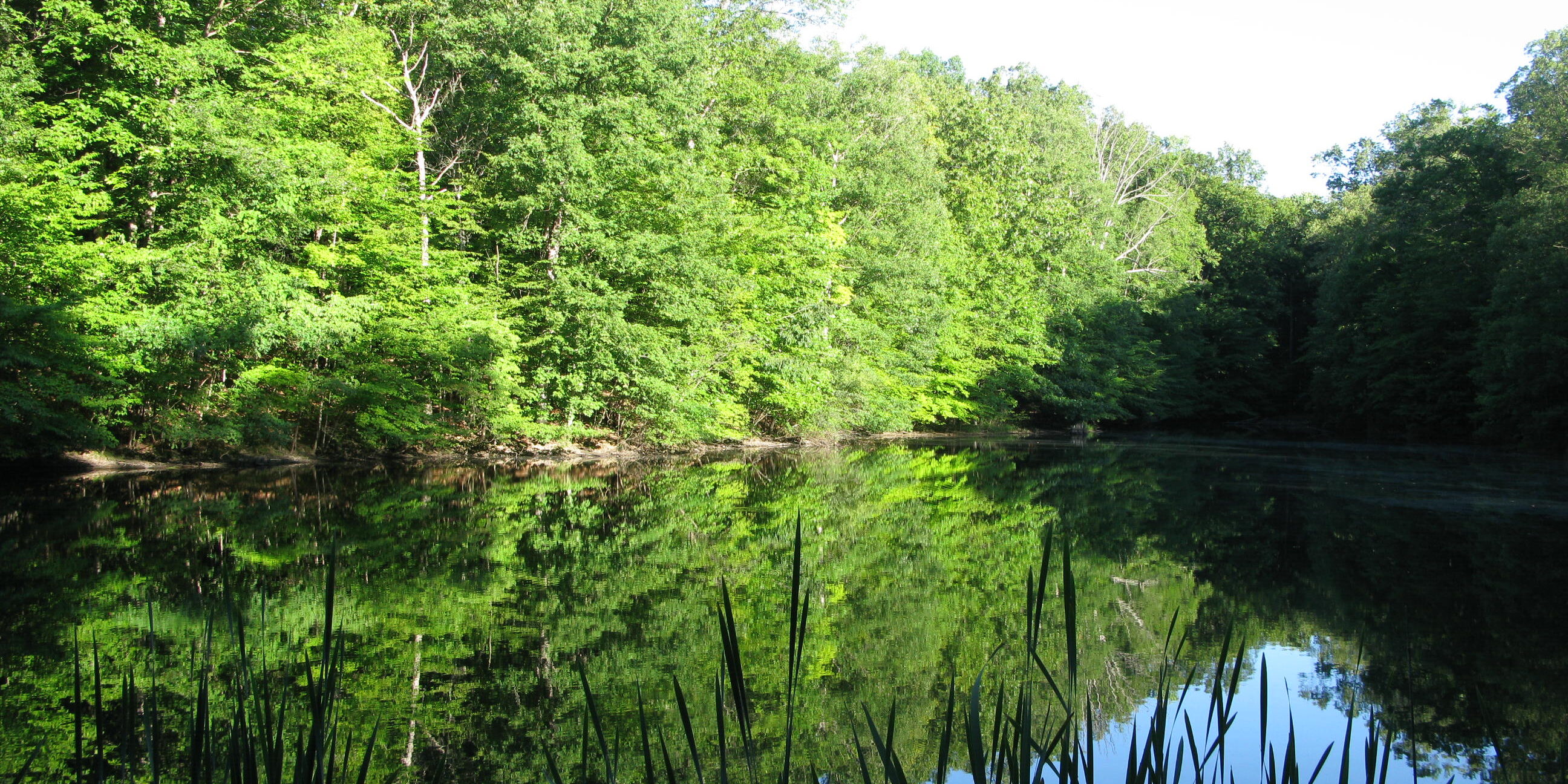 "Moments by the Pond"... taken on one of my greatest adventures